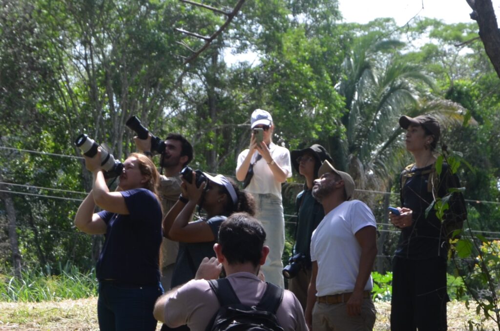 Recanto Indaiá Lança Produto Piloto de Experiência com Observação de Aves em Camisão